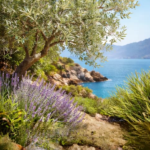 Piante Mediterranee e Costiere