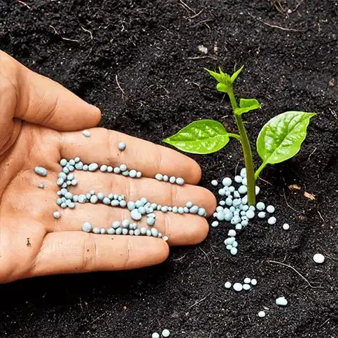Cura delle piante da interno ed esterno
